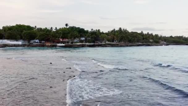 도미니카 공화국의 상공에 떠 있다. 야자나무가 있는 샌디 해변 — 비디오
