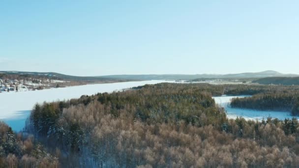 Letecký pohled na zimu v lesích u ostrova — Stock video