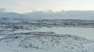 Kuzeydeki kış ormanı manzarası.. 