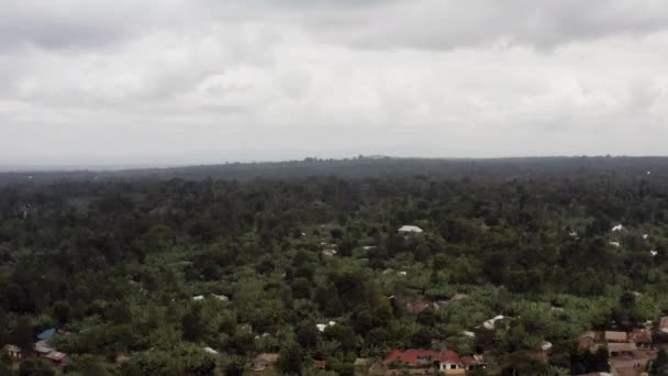 Zdjęcie lotnicze Tanzanii. — Wideo stockowe