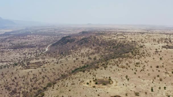 Hermoso vuelo de drones sobre la sabana con arena amarilla — Vídeo de stock