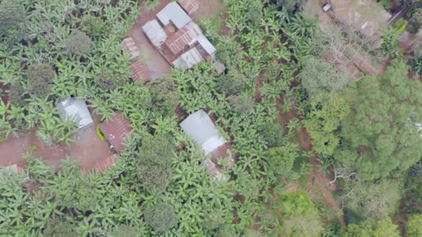 A drone flies over a village in the jungle with streets, houses and trees. — Video Stock