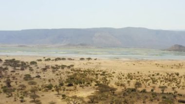 Drone video gölü savanada yeşil ağaçlar ve sarı toprakla 
