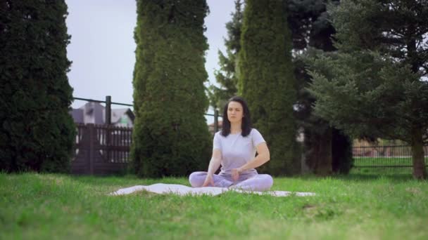 Životní styl dívka dělá jógu — Stock video