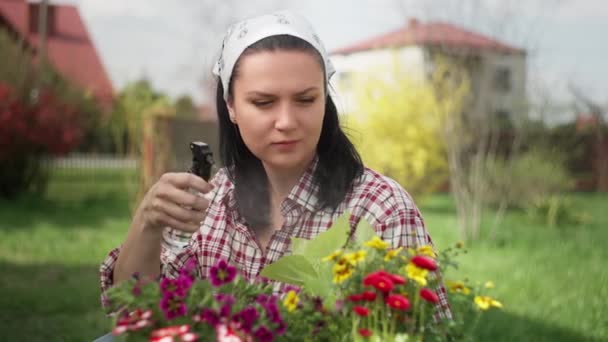정원에 있는 꽃 과 화분에 물을 뿌리는 여자. — 비디오