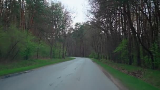 Paved road through the woods. — Stok video