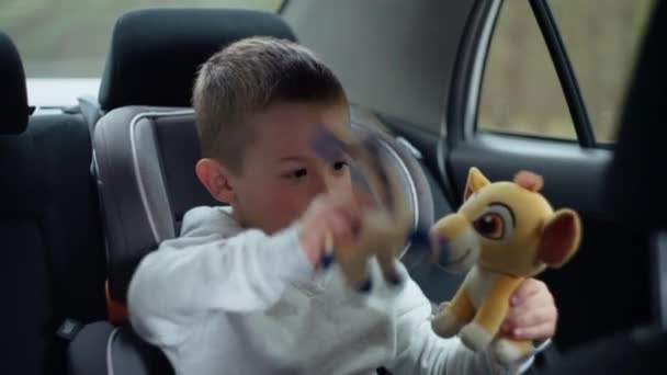 The boy is sitting in a child car seat. — Stockvideo