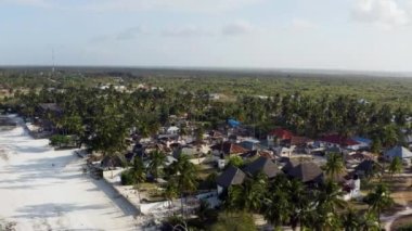 Kıyıya yakın bir yerde palmiye ağaçlı kumlu bir kumsalda İHA uçurmak.