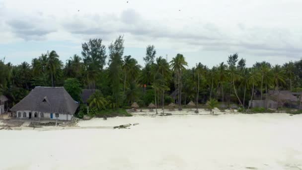 Flying parallèle à la rive avec une plage de sable blanc avec des palmiers. — Video