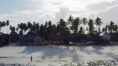 Kıyıya paralel uçan palmiye ağaçlı beyaz bir kumsal.