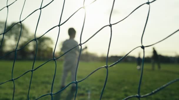 Copiii Joacă Fotbal Stadion Iarbă Băiatul Marchează Gol Jocuri Fericite — Videoclip de stoc