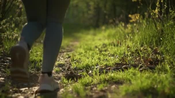 在公园里跑的女性腿的特写 美丽的自然和女孩在森林里晨跑 — 图库视频影像
