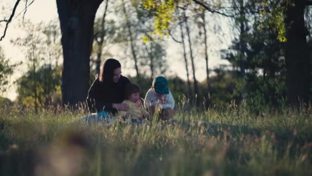 Мама Играет Детьми Природе Семья Сансет Проводит Время Вместе Парке — стоковое видео
