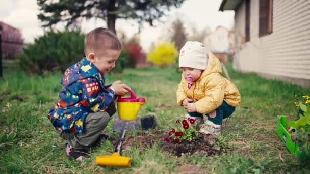 Діти Поливають Квіти Саду Хлопчик Дівчинка Допомагають Батькам Вирощувати Рослини — стокове відео
