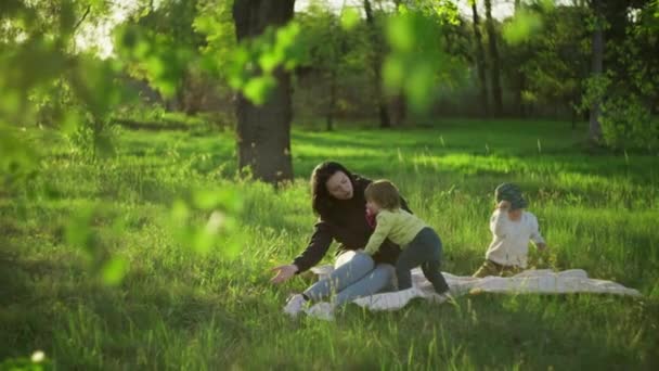 在阳光明媚的天气里举家野餐 人们在大自然中度过他们的闲暇时间 孩子们和他们的母亲在草坪上长着绿草 — 图库视频影像