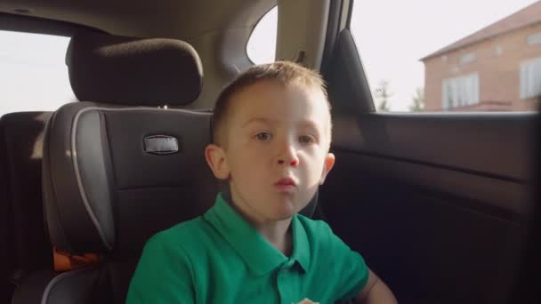 少年はチャイルドシートでクッキーを食べる 車で旅行中の子供 高品質4K映像 — ストック動画
