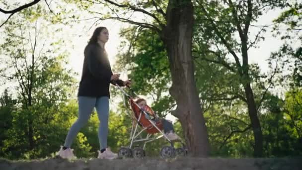 Mama Spaceruje Wózkiem Parku Szczęśliwy Razem Kobieta Córka Pięknym Krajobrazie — Wideo stockowe
