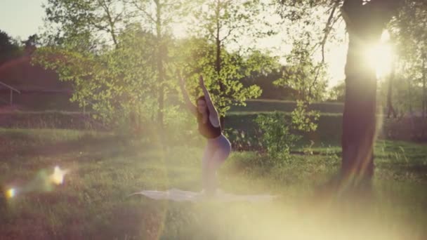 日落时在大自然中做瑜伽的女孩 这个女人把注意力集中在孤独上 积极地把她的闲暇时间花在健身上 工作日前的早上 公园里的瑜伽 — 图库视频影像