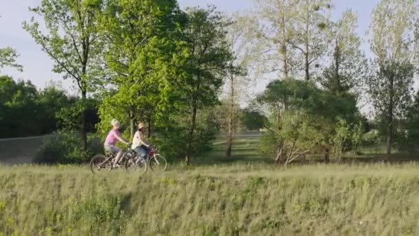 Mãe Filha Andam Bicicleta Floresta Namoradas Passam Tempo Juntas Natureza — Vídeo de Stock