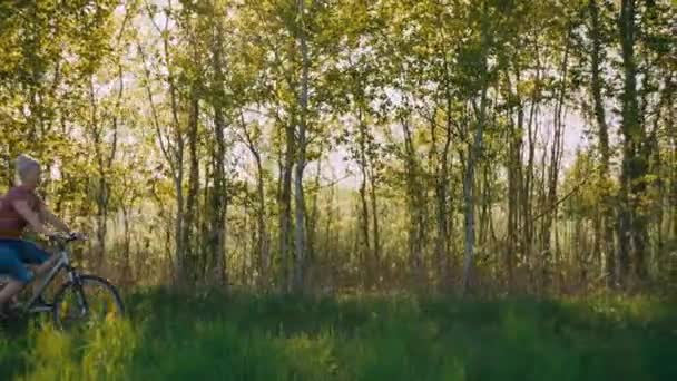 ママと息子は森の中で自転車に乗る 夏の木と一緒に風景の中で一緒に美しい自然と家族のスポーツをプレイ — ストック動画