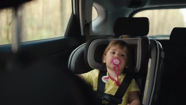 Baby Reist Een Autostoel Kind Veilig Vastgebonden Met Veiligheidsgordel Hoge — Stockvideo