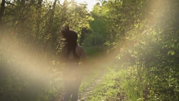 Beautiful Shot Girl Running Morning Sports Morning Outdoors Forest Park — Stock Video