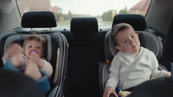 哥哥和家人开车去旅行 孩子们坐在童车座位上 一路平安 一家人在度假时作为一个快乐的团队在一起 — 图库视频影像