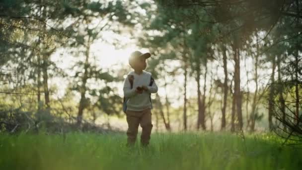 Der Junge Geht Allein Durch Den Wald Ein Kind Spaziert — Stockvideo