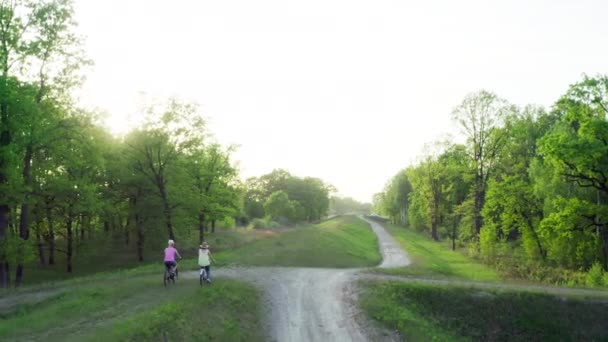 空中景观在自然界中的循环 在美丽的风景中 两个女孩骑自行车在林子里的路上 — 图库视频影像