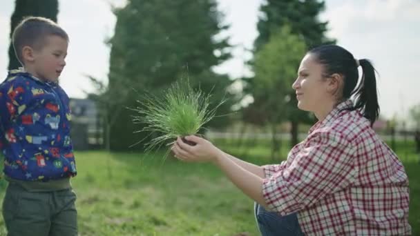 Mam Baby Planten Gras Tuin Een Jongen Een Vrouw Werken — Stockvideo