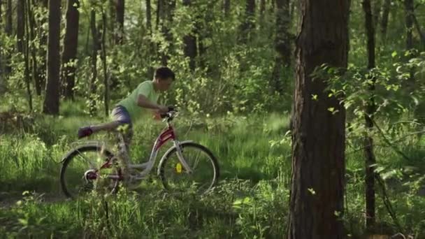 Genç Bir Çocuk Bisiklete Biner Ormanda Gezer Güzel Manzara Beyaz — Stok video