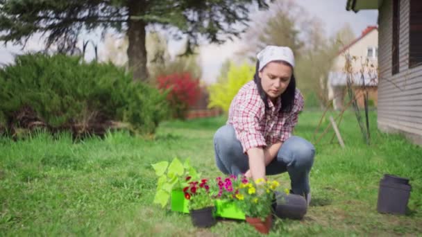 여인은 정원에 피운다 집에서의 정원가꾸기 아름다운 소녀와 새로운 — 비디오