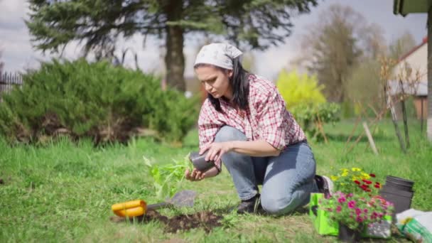 소녀는 정원에 피운다 가꾸고 식물을 — 비디오