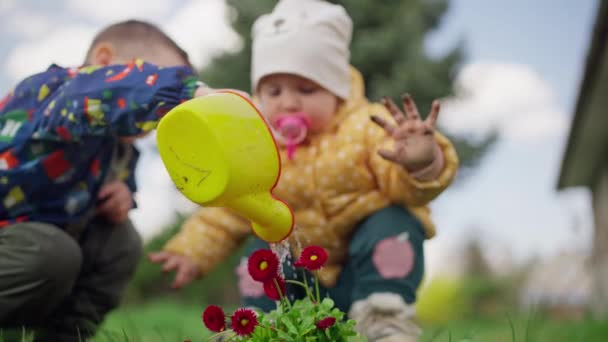 Дети Поливают Цветы Саду Счастливые Дети Помогают Родителям Выращивать Растения — стоковое видео