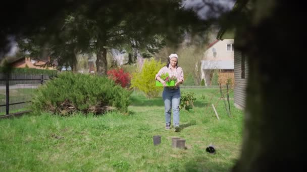 Ragazza Piantare Piante Giardino Bella Donna Caucasica Che Coltiva Fiori — Video Stock