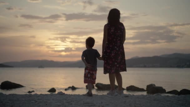 Anne Oğlu Gün Batımında Dinlenirken Deniz Kenarında Güzel Doğa Aile — Stok video