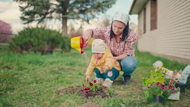 娘は母親が庭の花に水をやるのを助ける 家庭での植物の栽培と栽培 家族は庭で一緒に働く — ストック動画