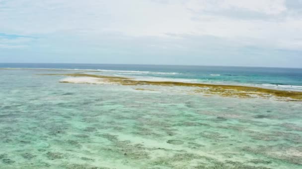 Ocean Low Tide Drone Flight Shoreline You Can See Corals — Stock Video