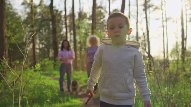 Família Caminha Parque Com Crianças Pôr Sol Avó Mãe Filhos — Vídeo de Stock