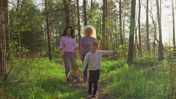 Anneanne Çocuklar Ormanda Yürüyüşe Çıktılar Mutlu Bir Aile Parkta Yürüyor — Stok video