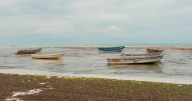 Afrika 'da sular çekildiğinde eski renkli balıkçı tekneleri kumun üzerinde duruyor. Hint Okyanusu çekildi ve tekneler karaya çıktı. Dokulu gökyüzü ile güzel bir manzara videosu. Yüksek kalite 4k görüntü