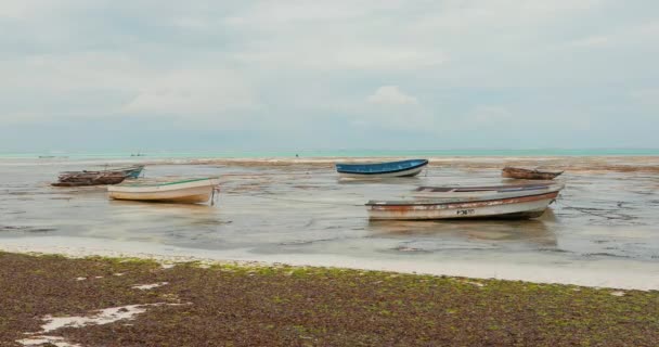 Alte Bunte Fischerboote Stehen Bei Ebbe Afrika Sand Der Indische — Stockvideo