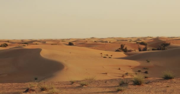 Pustynia Złotymi Piaskami Wydmami Zea Piękne Tło Krajobraz Wideo Pustyni — Wideo stockowe