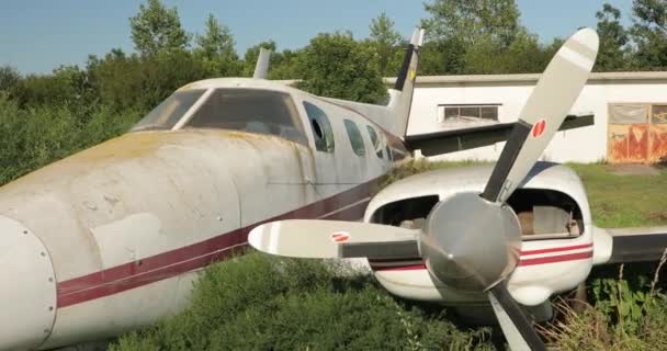 セルビアを撃った 草や木で覆われた古い飛行機のビデオ 自然との技術の闘争 飛ぶことができない飛行機 — ストック動画