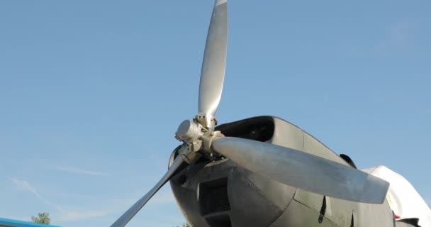 老旧修复飞机螺旋桨的特写 天空和树木可以在背景中看到 — 图库视频影像