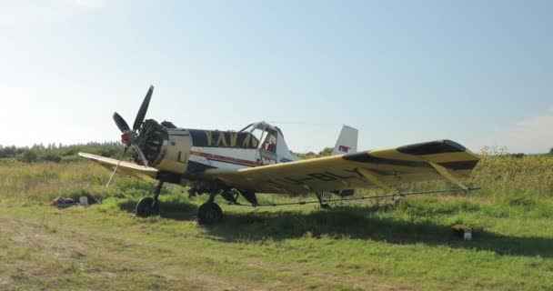 Old Colorful Plane Wings Propeller Wheels Ready Fly Standing Grass — Stock Video