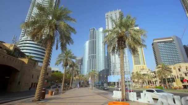 Ulica Palmami Drapaczami Chmur Dubaju Pejzaż Miejski Szklanymi Drapaczami Chmur — Wideo stockowe