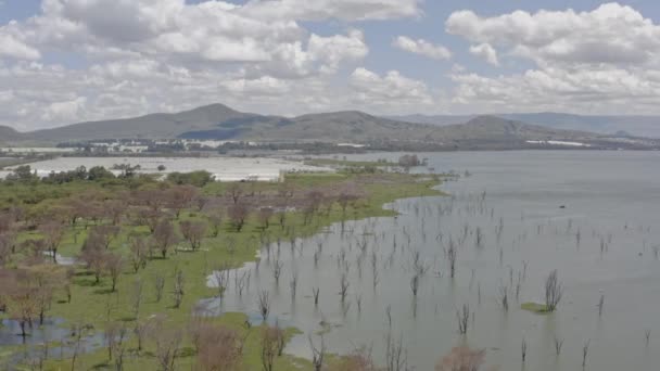 Kenya Daki Resif Vadisi Nin Havadan Görüntüsü Nakuru Gölü Nde — Stok video