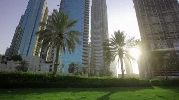 Palmy Mieście Pustyni Dubaju Zea Pejzaż Miejski Zachodem Słońca Centrum — Wideo stockowe