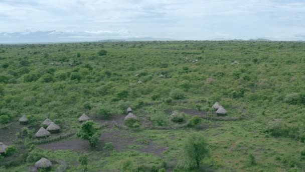 Vista Aérea Uma Aldeia Vale Omo Savannah Que Cabanas São — Vídeo de Stock